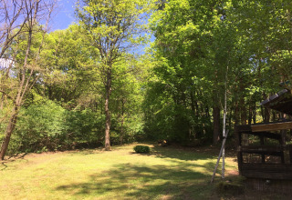 Groene bomen en helder gras voor een chalet genaamd 'Remschweiler' in Frankrijk op een zonnige dag.