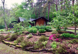 Chalet Remschweiler en France entouré d’un jardin fleuri, de verdure et de grands arbres de forêt.