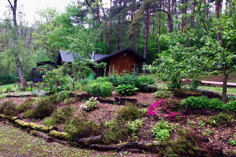 Chalet Remschweiler in Frankrijk met groene tuin, kleurrijke bloemen en hoge bomen in het bos.