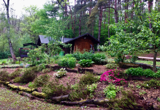 Chalet Remschweiler in Frankrijk met groene tuin, kleurrijke bloemen en hoge bomen in het bos.