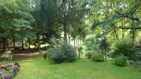 Groene tuin met bomen en struiken bij chalet Remschweiler in Frankrijk, gelegen in een bosrijke omgeving.