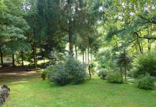 Groene tuin met bomen en struiken bij chalet Remschweiler in Frankrijk, gelegen in een bosrijke omgeving.