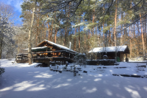 Chalet Remschweiler in Frankrijk is bedekt met sneeuw, omringd door bos onder een heldere blauwe lucht.