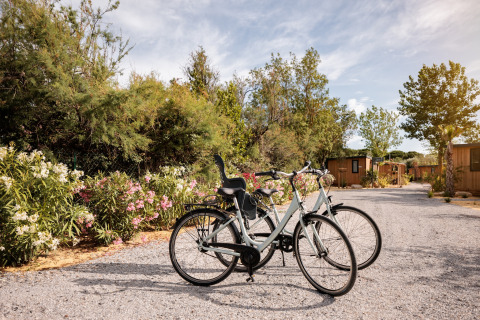 To cykler holder på en grusvej foran luksustelte og blomstrende buske i et glampingområde i naturen.
