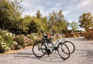 To cykler holder på en grusvej foran luksustelte og blomstrende buske i et glampingområde i naturen.