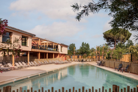 Udendørs swimmingpool med liggestole og træhegn ved et glamping-resort omgivet af træer og natur.