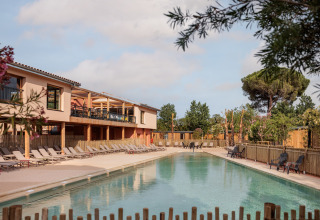 Udendørs swimmingpool med liggestole og træhegn ved et glamping-resort omgivet af træer og natur.
