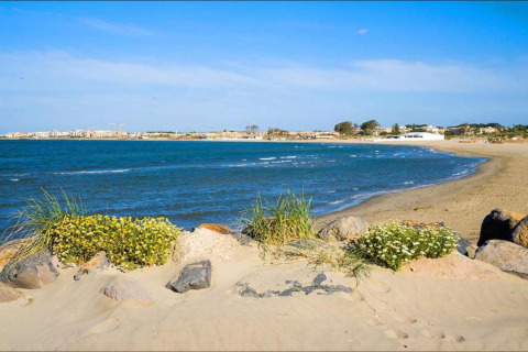 Smuk udsigt over stranden og havet fra et glamping-sted med sand og blomster foran, solrig dag.