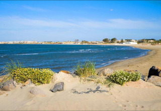 Smuk udsigt over stranden og havet fra et glamping-sted med sand og blomster foran, solrig dag.