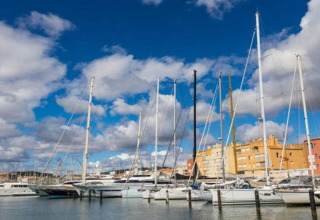 Både fortøjet i en marina med farverige bygninger i baggrunden og en blå himmel med skyer.