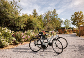To cykler står på en grusvej foran mobilhjem og blomstrende buske på Beach Resort Agde 1 i Frankrig.