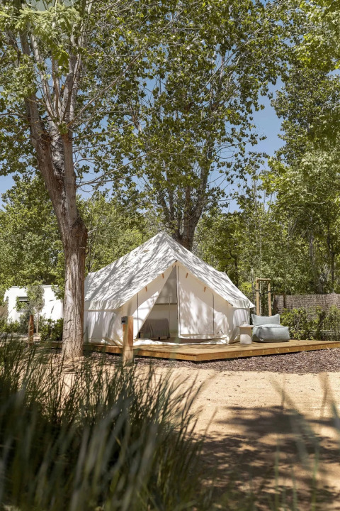 Safaritent op een houten vloer onder hoge bomen in een rustige, groene campingomgeving in de zomer.