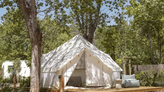 Safarizelt auf einer Holzplattform im Schatten hoher Bäume in einem grünen, sonnigen Campingplatz.
