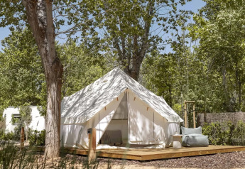 Safari tent set on a wooden platform beneath tall trees in a peaceful, sunlit outdoor camping area.