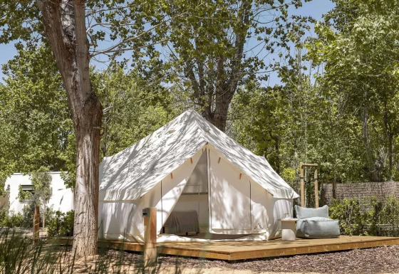 Safaritent op een houten vloer onder hoge bomen in een rustige, groene campingomgeving in de zomer.