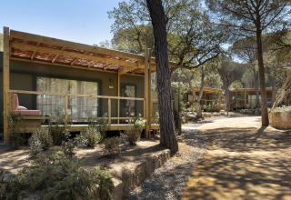 Houten lodges met veranda’s in een rustige bosrijke omgeving, omgeven door bomen en wandelpaden.