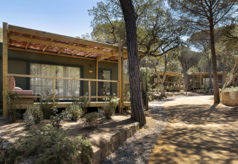 Cabañas con terrazas de madera en un tranquilo lodge rodeado de altos árboles y senderos naturales.