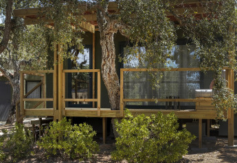 Foto de una cabaña de madera en un lodge, rodeada de árboles y arbustos, con ducha exterior en primer plano.