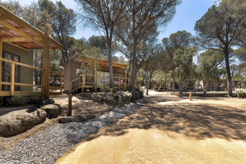 Houten chalets met veranda aan een zandweg, tussen hoge dennenbomen in een rustige lodgeomgeving.