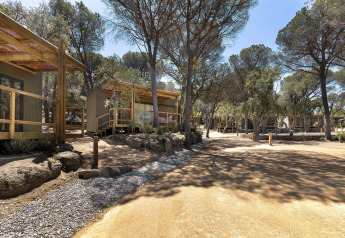 Cabanes en bois avec terrasses bordent un chemin en terre, entourées de pins dans un lodge paisible.