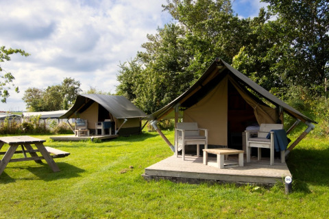 Twee safaritenten met terras op Camping Waddenzee in Nederland, gelegen tussen gras en bomen.