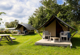 Twee safaritenten met terras op Camping Waddenzee in Nederland, gelegen tussen gras en bomen.