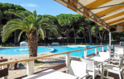 Outdoor dining area at a glamping site with a palm tree, pool, white chairs and a forest backdrop.