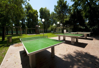 Buiten tafeltennistafels in een groen park bij een glampingaccommodatie, omgeven door bomen.