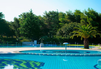 Outdoor swimming pool at a mobile home featuring a palm tree, clear blue water, and lush greenery.