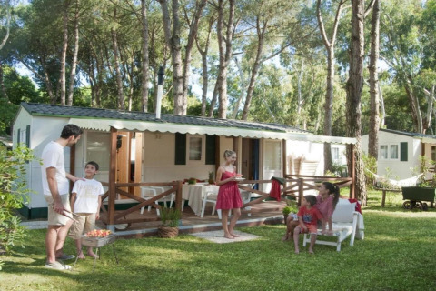 Gezin geniet van een zonnige dag voor hun stacaravan, barbecuet en ontspant samen in het bos.