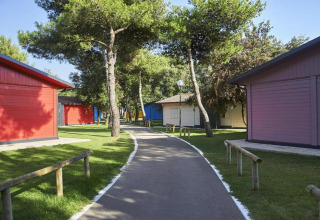 Kleurige huisjes tussen bomen en gras op een glampinglocatie met een geasfalteerd wandelpad.