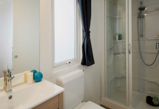 Moderne badkamer in een glampingaccommodatie met douchecabine, raam, wastafel en decoraties.