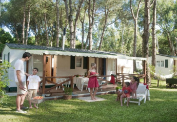 Famille profitant d'un barbecue et se relaxant devant un hébergement glamping entouré d'arbres.