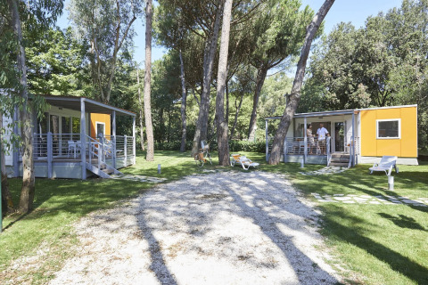 Twee moderne stacaravans op een groene camping met bomen, ligstoelen en een rustige sfeer.