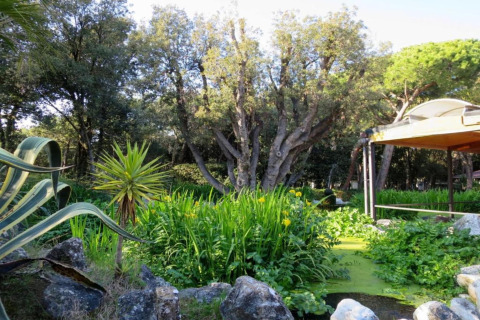 Groene tuin met vijver en stacaravan bij Baia Domizia Villaggio Camping I3 in Italië.