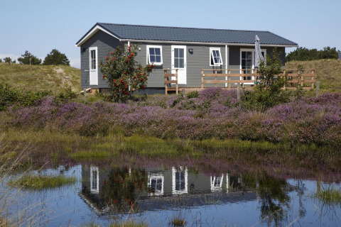 Feriehytte ved Holiday Park Loodsmansduin 1, omgivet af lilla lyng og en dam, med klar himmel.