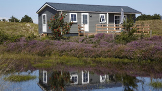 Ferienhaus im Holiday Park Loodsmansduin 1, umgeben von Heidekraut und Teich unter blauem Himmel.