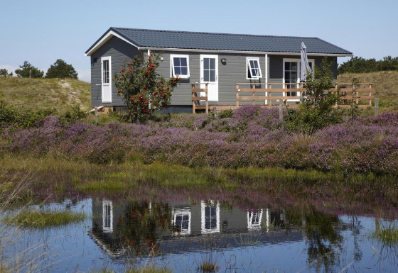 Ferienhaus im Holiday Park Loodsmansduin 1, umgeben von Heidekraut und Teich unter blauem Himmel.
