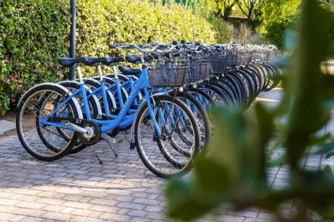Reihe blauer Fahrräder mit Körben geparkt auf einem Pflasterweg neben grünen Hecken in Italien.