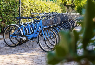 Row of blue bicycles with baskets parked on a paved path beside green hedges at an Italian resort.