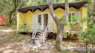 Yellow mobile home at Holiday resort Riva degli Etruschi San Vincenzo, 200 m from the sea, in a wooded area.
