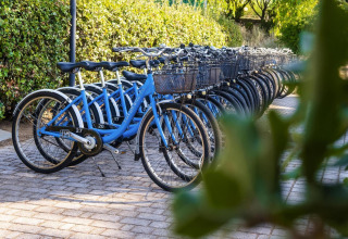Fila de bicicletas azules con cestas aparcadas en Holiday resort Riva degli Etruschi en Italia, rodeadas de vegetación.