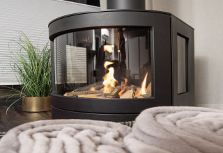 Acogedor interior de la casa flotante 'Elysium' en Países Bajos con chimenea, planta y mantas grises suaves.