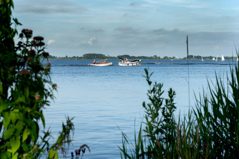 Vista desde la casa flotante Elysium en Países Bajos con barcos en el lago y vegetación a la orilla.