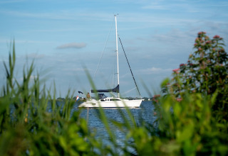Vista tra il verde della houseboat 'Elysium' che galleggia tranquillamente sulle acque olandesi.
