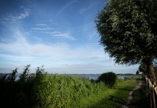 Blick auf das Hausboot «Elysium» in den Niederlanden mit grünem Ufer, Bäumen und blauem Himmel.