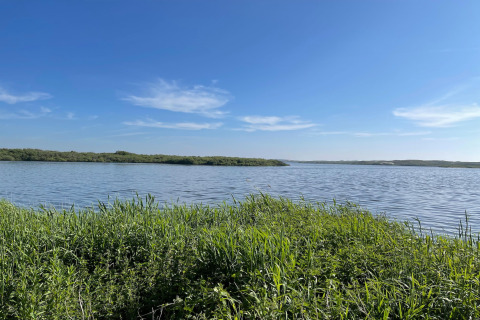 Vista de un lago tranquilo con pasto verde y cielo azul junto a Tipitent de Jutter en los Países Bajos.