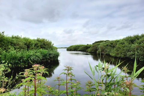 View from Tipitent de Jutter in the Netherlands, showing lush greenery and a tranquil river on a cloudy day.