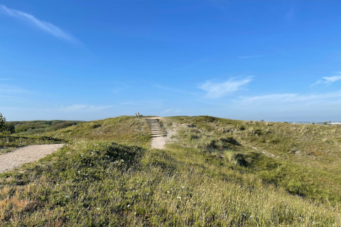 Udsigt til en græsbeklædt bakke med trappe og bænk under en klar blå himmel ved Tipitent de Jutter i Holland.
