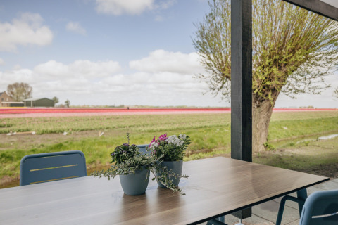 Udsigt fra terrasse ved Park Wijdenes 4 i Holland med bord, stole og blomsterpotter foran mark.